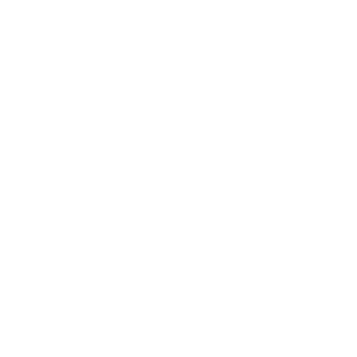 Geo Naval